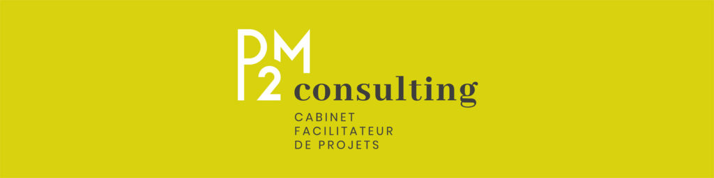 P2M Consulting cabinet de conseil en Management de projets