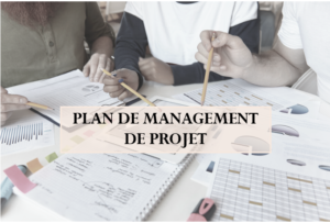 Plan de Management de projet par P2M Consulting