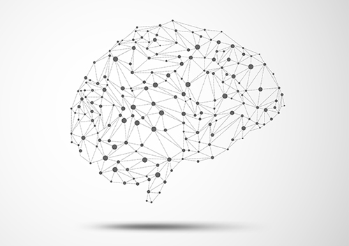 schema neuronal du cerveau