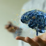 10 confusions en management et comment les éviter grâce à un éclairage par les neurosciences